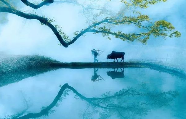 回歸鄉村,方知幸福 【輕鋼別墅】(圖1) 回歸鄉村,方知幸福 【輕鋼別墅】(圖1)