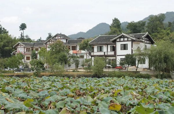 回歸鄉村,方知幸福 【輕鋼別墅】(圖7) 回歸鄉村,方知幸福 【輕鋼別墅】(圖7)