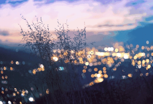 輕鋼別墅: 遠離城市喧囂,獨享一方寧靜(圖1) 輕鋼別墅風景