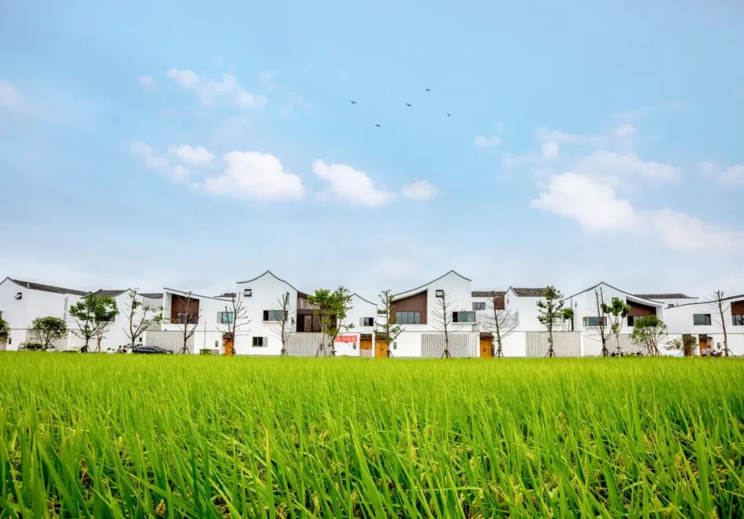 從經濟的角度來看如何建設宜居宜業的美麗鄉村(圖4) 睿婕輕鋼別墅