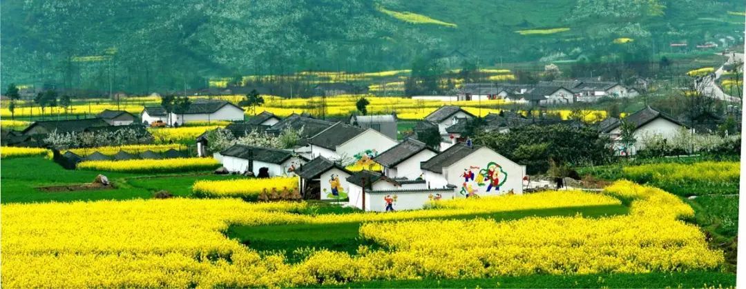 從經濟的角度來看如何建設宜居宜業的美麗鄉村(圖5) 睿婕輕鋼別墅